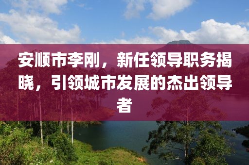 安顺市李刚，新任领导职务揭晓，引领城市发展的杰出领导者