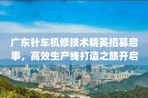 广东针车机修技术精英招募启事，高效生产线打造之旅开启