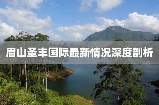 眉山圣丰国际最新情况深度剖析