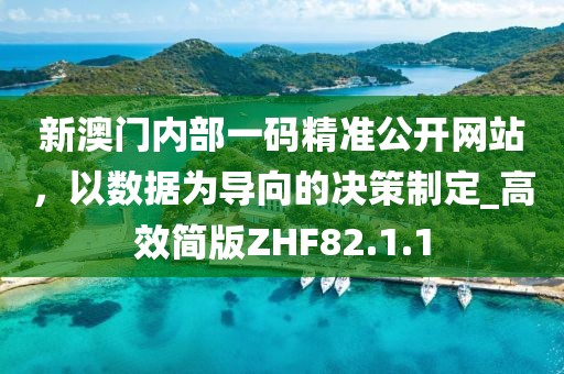新澳门内部一码精准公开网站，以数据为导向的决策制定_高效简版ZHF82.1.1