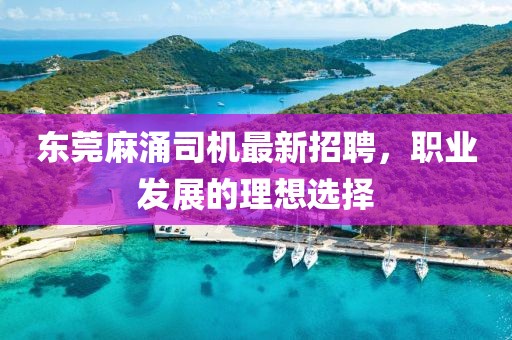东莞麻涌司机最新招聘，职业发展的理想选择