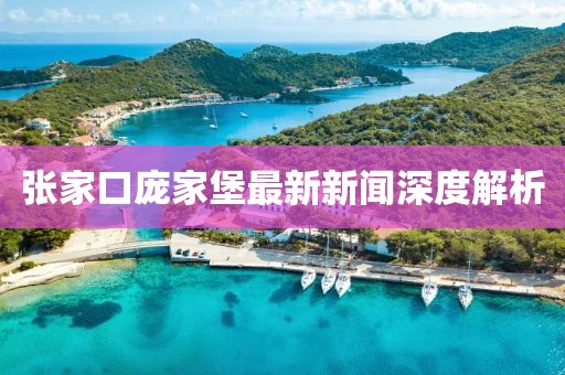 张家口庞家堡最新新闻深度解析