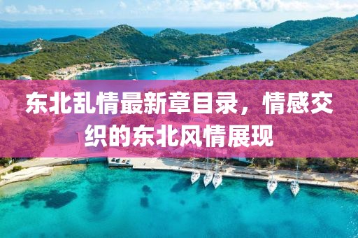 东北乱情最新章目录，情感交织的东北风情展现
