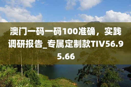 澳门一码一码100准确，实践调研报告_专属定制款TIV56.95.66