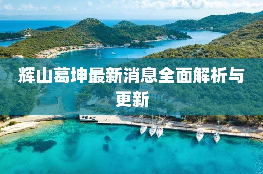 辉山葛坤最新消息全面解析与更新