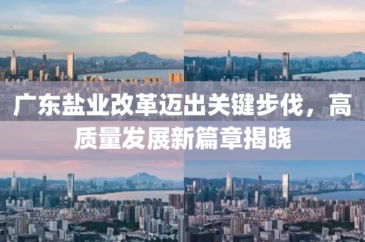 广东盐业改革迈出关键步伐，高质量发展新篇章揭晓