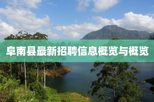 阜南县最新招聘信息概览与概览