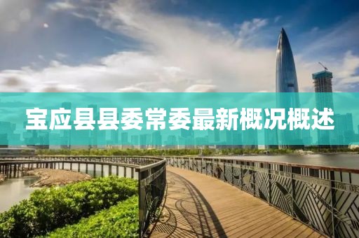 宝应县县委常委最新概况概述