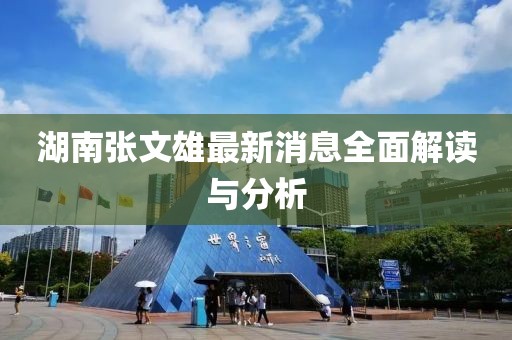 湖南张文雄最新消息全面解读与分析