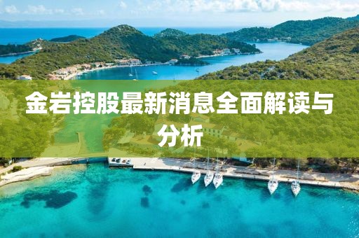 金岩控股最新消息全面解读与分析