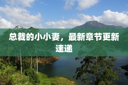 总裁的小小妻，最新章节更新速递