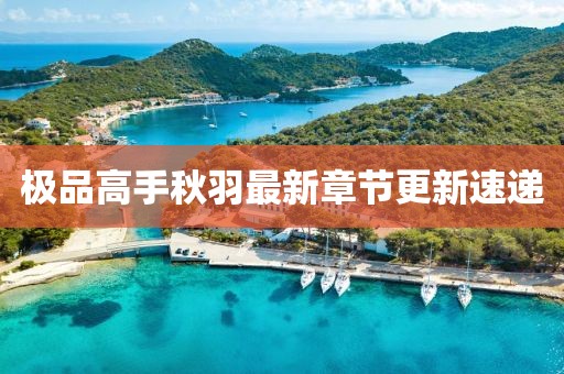 极品高手秋羽最新章节更新速递