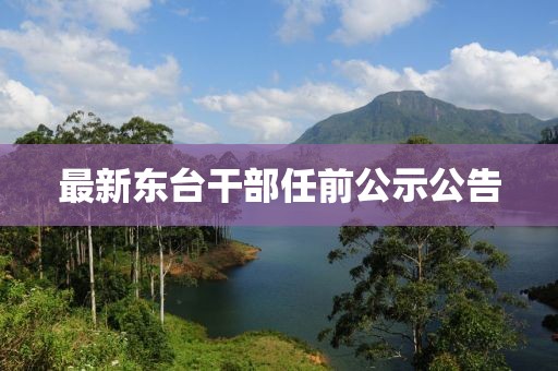 最新东台干部任前公示公告
