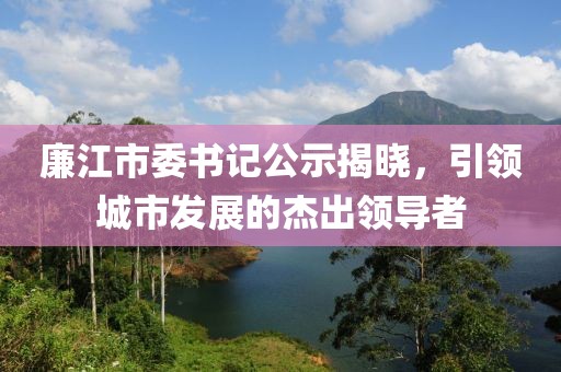 廉江市委书记公示揭晓，引领城市发展的杰出领导者