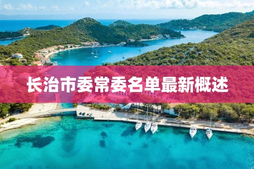 长治市委常委名单最新概述