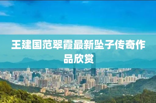 王建国范翠霞最新坠子传奇作品欣赏