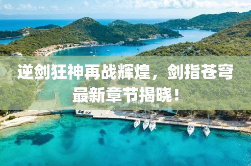逆剑狂神再战辉煌，剑指苍穹最新章节揭晓！