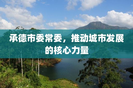 承德市委常委，推动城市发展的核心力量