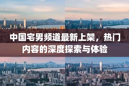 中国宅男频道最新上架，热门内容的深度探索与体验