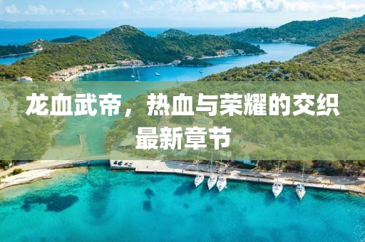 龙血武帝，热血与荣耀的交织最新章节