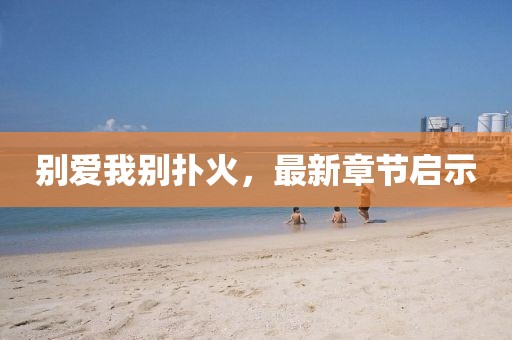 别爱我别扑火，最新章节启示