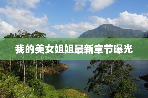 我的美女姐姐最新章节曝光