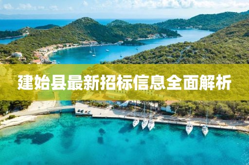 建始县最新招标信息全面解析