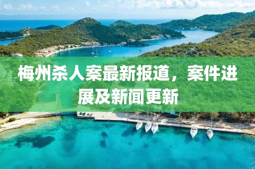 梅州杀人案最新报道，案件进展及新闻更新