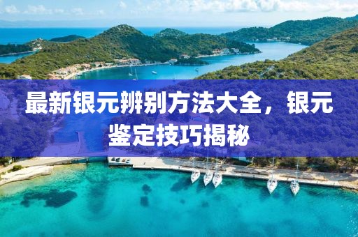 最新银元辨别方法大全，银元鉴定技巧揭秘