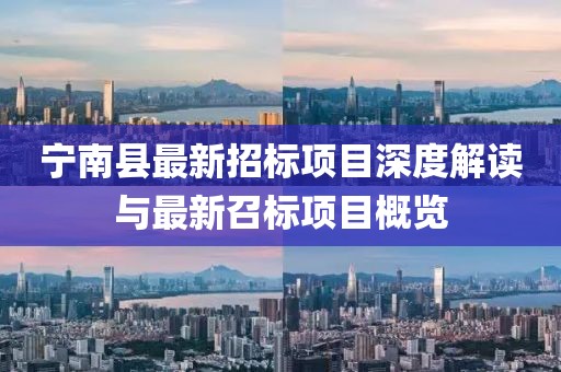 初告白 第3页