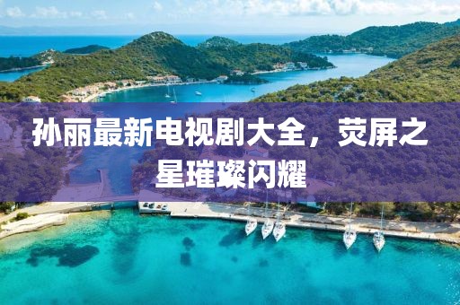 孙丽最新电视剧大全，荧屏之星璀璨闪耀