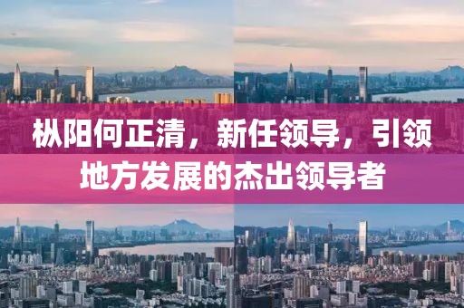 枞阳何正清，新任领导，引领地方发展的杰出领导者
