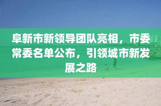 阜新市新领导团队亮相，市委常委名单公布，引领城市新发展之路