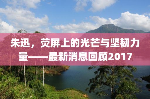朱迅，荧屏上的光芒与坚韧力量——最新消息回顾2017