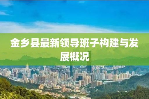 金乡县最新领导班子构建与发展概况