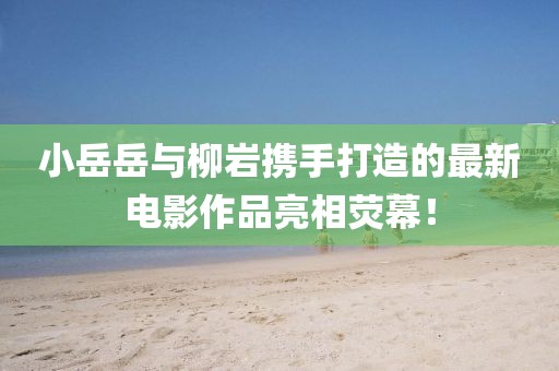 小岳岳与柳岩携手打造的最新电影作品亮相荧幕！
