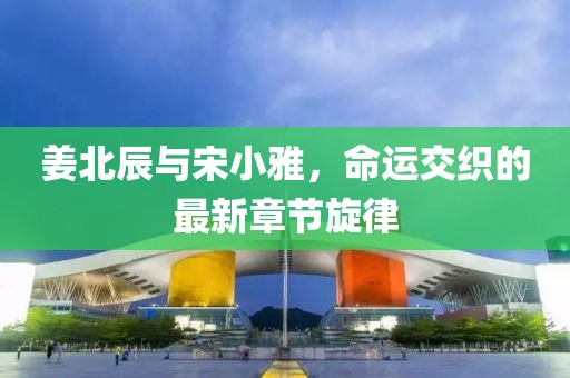 姜北辰与宋小雅，命运交织的最新章节旋律