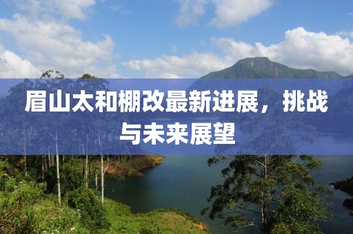 眉山太和棚改最新进展，挑战与未来展望