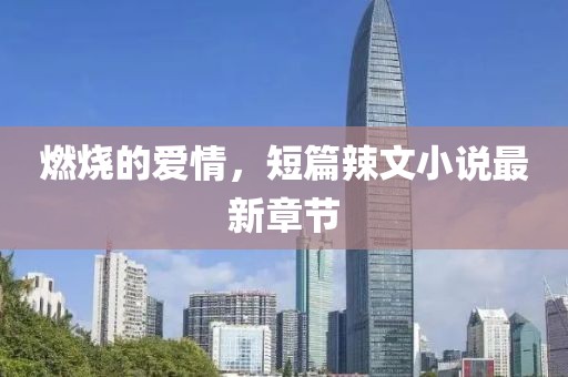 燃烧的爱情，短篇辣文小说最新章节