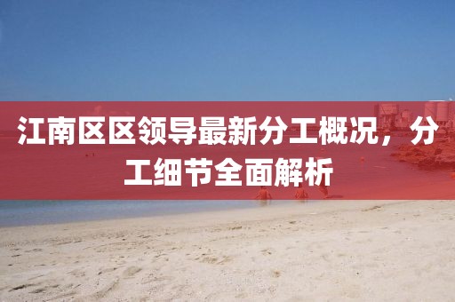 江南区区领导最新分工概况，分工细节全面解析
