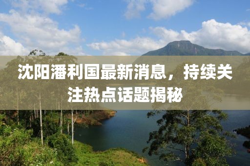 沈阳潘利国最新消息，持续关注热点话题揭秘