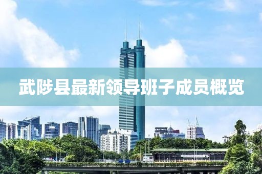 武陟县最新领导班子成员概览