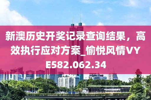 新澳历史开奖记录查询结果，高效执行应对方案_愉悦风情VYE582.062.34
