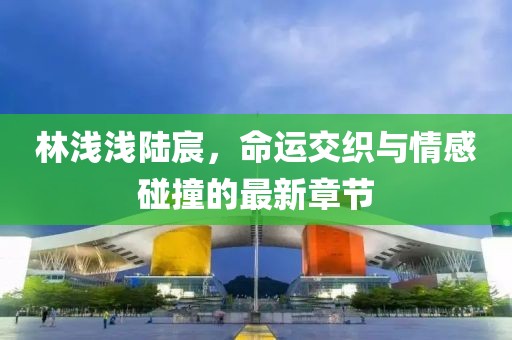林浅浅陆宸，命运交织与情感碰撞的最新章节