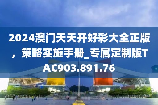 2024澳门天天开好彩大全正版，策略实施手册_专属定制版TAC903.891.76