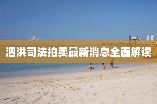 泗洪司法拍卖最新消息全面解读