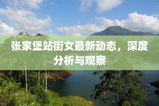 张家堡站街女最新动态，深度分析与观察