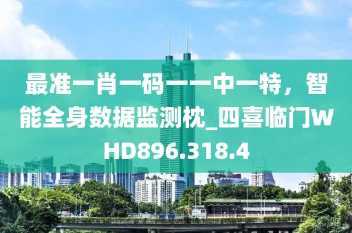 最准一肖一码一一中一特，智能全身数据监测枕_四喜临门WHD896.318.4