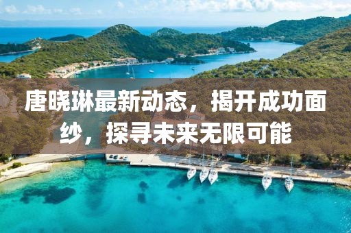唐晓琳最新动态，揭开成功面纱，探寻未来无限可能