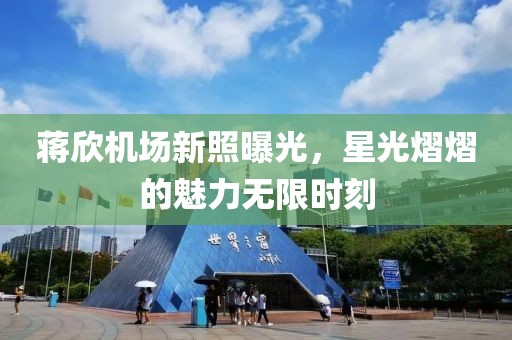 蒋欣机场新照曝光，星光熠熠的魅力无限时刻